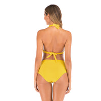 classic plunging neck halter top high waist bikini